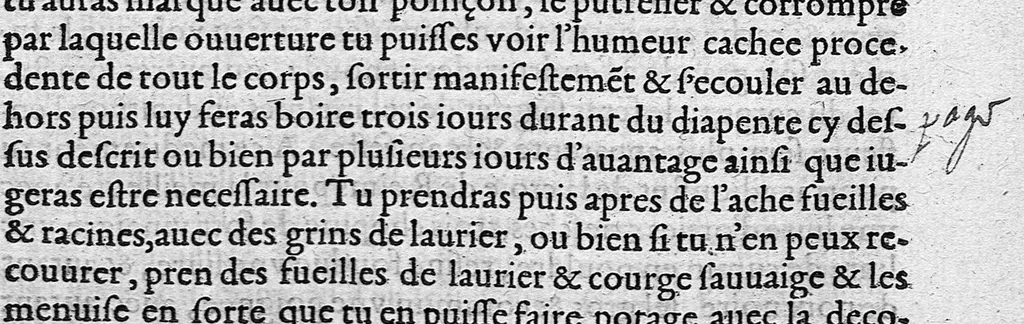 An illustration from Quatre livres de Puble Végèce Renay, de la Médecine des chevaux malades et autres vétérinaires aliénez et altérez de leur naturel, traduicts nouvellement de latin en françois, 1563, leaf 20
