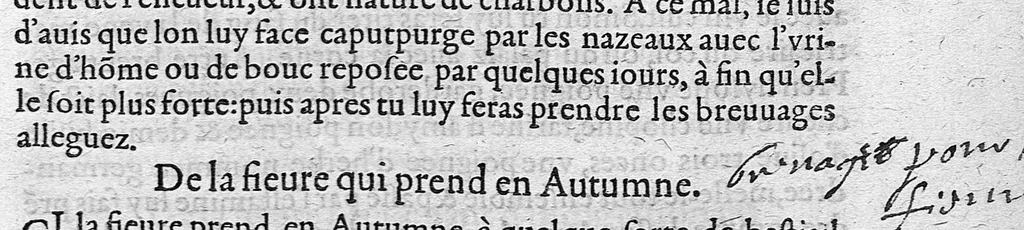 An illustration from Quatre livres de Puble Végèce Renay, de la Médecine des chevaux malades et autres vétérinaires aliénez et altérez de leur naturel, traduicts nouvellement de latin en françois, 1563, leaf 42