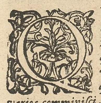 An illustration from Caspari Hofmanni Pro veritate opellae tres: I. Adrastea Galeni. II. Exercitationes juveniles contra Parisanum, aliosque. III. Ant-Argenterius., 1647, leaf 121