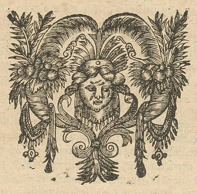 An illustration from Caspari Hofmanni Pro veritate opellae tres: I. Adrastea Galeni. II. Exercitationes juveniles contra Parisanum, aliosque. III. Ant-Argenterius., 1647, leaf 14