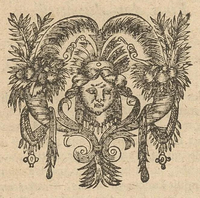 An illustration from Caspari Hofmanni Pro veritate opellae tres: I. Adrastea Galeni. II. Exercitationes juveniles contra Parisanum, aliosque. III. Ant-Argenterius., 1647, leaf 140