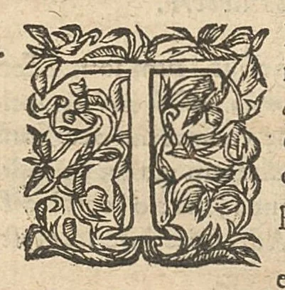 An illustration from Caspari Hofmanni Pro veritate opellae tres: I. Adrastea Galeni. II. Exercitationes juveniles contra Parisanum, aliosque. III. Ant-Argenterius., 1647, leaf 15