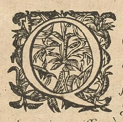 An illustration from Caspari Hofmanni Pro veritate opellae tres: I. Adrastea Galeni. II. Exercitationes juveniles contra Parisanum, aliosque. III. Ant-Argenterius., 1647, leaf 151
