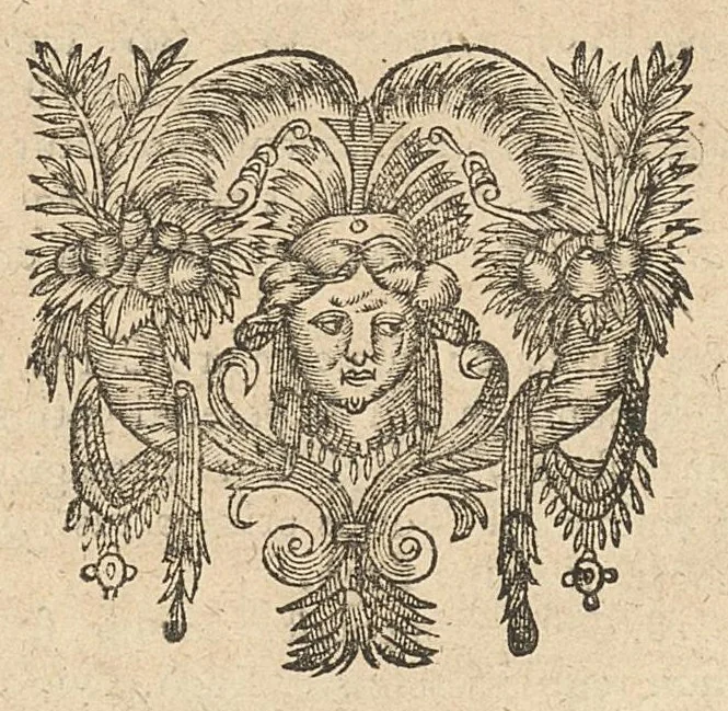 An illustration from Caspari Hofmanni Pro veritate opellae tres: I. Adrastea Galeni. II. Exercitationes juveniles contra Parisanum, aliosque. III. Ant-Argenterius., 1647, leaf 168