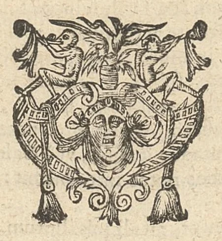An illustration from Caspari Hofmanni Pro veritate opellae tres: I. Adrastea Galeni. II. Exercitationes juveniles contra Parisanum, aliosque. III. Ant-Argenterius., 1647, leaf 266