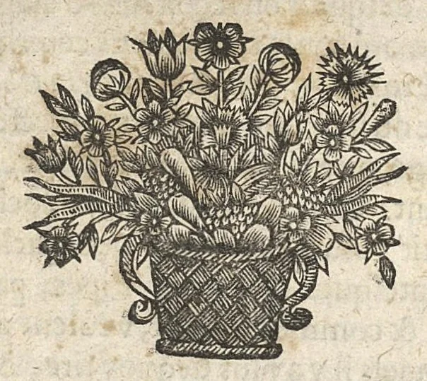 An illustration from Traicté pour la conservation de la santé et sur la saignee de ce temps, ...troisième édition..., 1650, leaf 419
