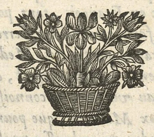An illustration from Traicté pour la conservation de la santé et sur la saignee de ce temps, ...troisième édition..., 1650, leaf 551