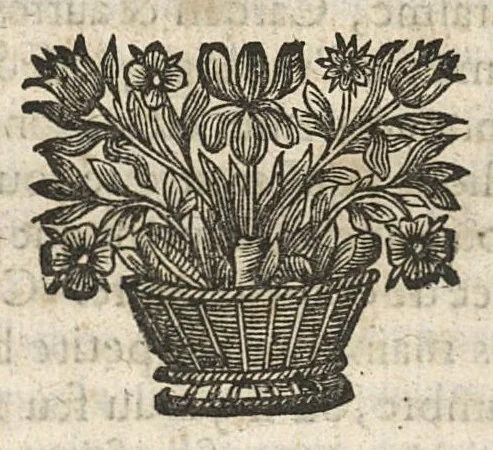 An illustration from Traicté pour la conservation de la santé et sur la saignee de ce temps, ...troisième édition..., 1650, leaf 583
