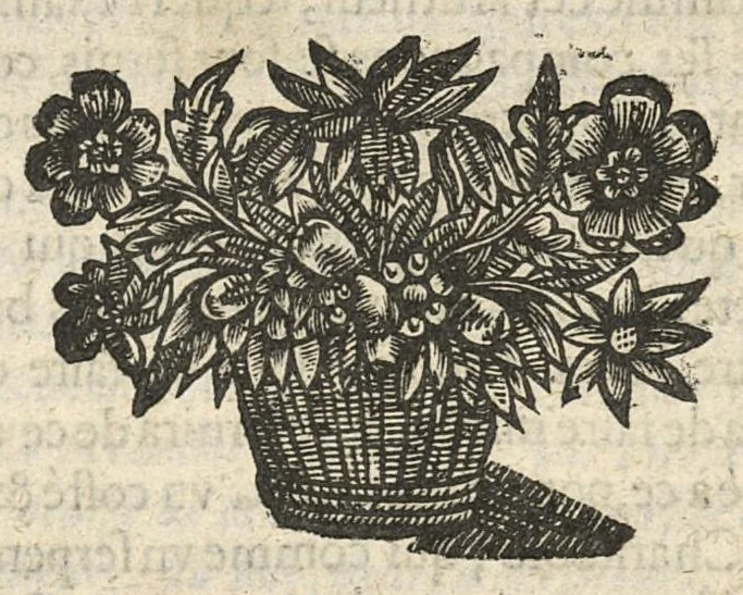 An illustration from Traicté pour la conservation de la santé et sur la saignee de ce temps, ...troisième édition..., 1650, leaf 645