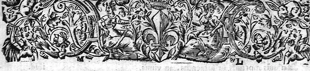 An illustration from Simiotice, sive de signis medicis tractatus, 1663, leaf 426
