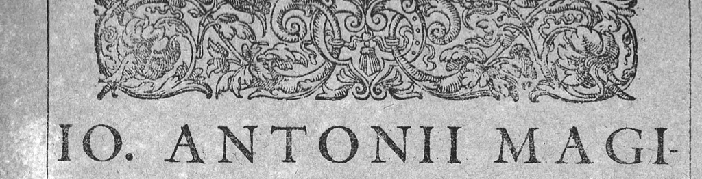 An illustration from Io. Antonii Magini Patavini, Mathematicarum in almo Bononiensi Gymnasio Professoris, De Astrologica ratione, ac usu dierum Criticorum, seu Decretoriorum, ac praeterea de cognoscendis et medendis morbis ex corporum caelestium cognitione, opus ad ephemeridum supplementum nunc primo editum & libris duobus distinctum. Quorum primus complectitur commentarium in Claudii Galeni librum tertium De diebus decretoriis: alter agit de legitimo Astrologiae in medicina usu. His additur De annui temporis mensura in Directionibus: & de Directionibus ipsis ex Valentini Naibodae scriptis, 1608, leaf 78