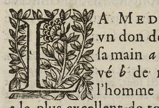 An illustration from Question cardinale...La Methode d'Hippocrate est-elle la plus certaine, la plus seure, & la plus excellente de toutes, à guarir les maladies ? avec des observations sur quelques points les plus notables, 1648, leaf 20