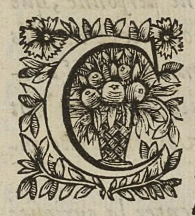 An illustration from Question cardinale...La Methode d'Hippocrate est-elle la plus certaine, la plus seure, & la plus excellente de toutes, à guarir les maladies ? avec des observations sur quelques points les plus notables, 1648, leaf 6