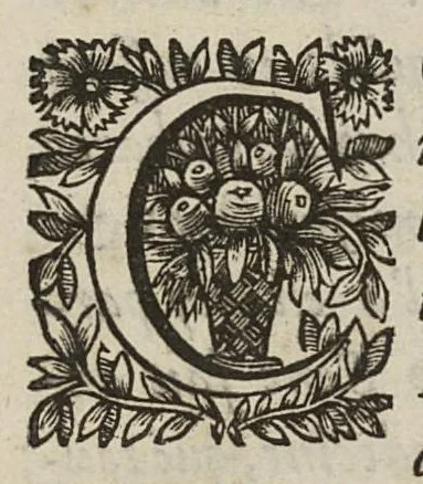 An illustration from Question cardinale...La Methode d'Hippocrate est-elle la plus certaine, la plus seure, & la plus excellente de toutes, à guarir les maladies ? avec des observations sur quelques points les plus notables, 1648, leaf 60