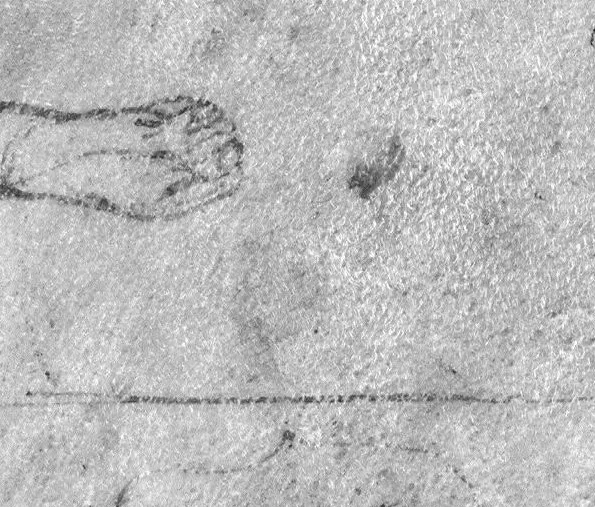 An illustration from Divi Hippocratis Coi Prognosticôn latina ecphrasis ex mente Galeni, 1575, leaf 0
