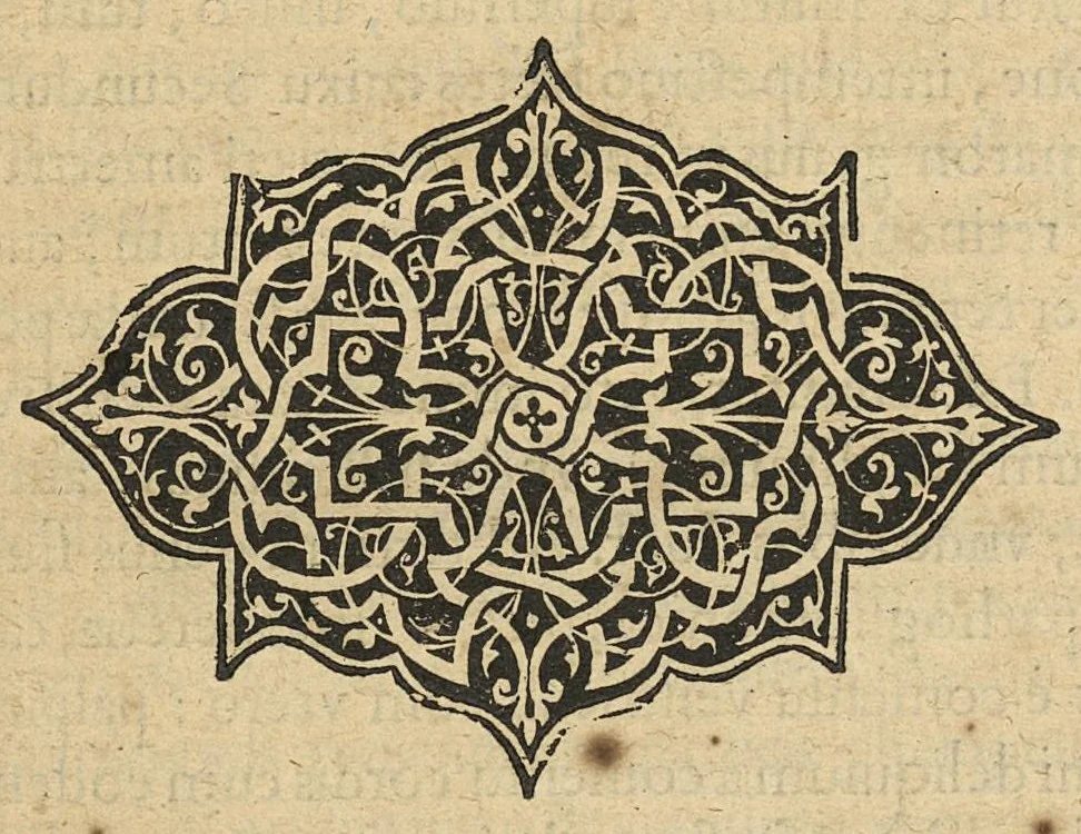 An illustration from Methodus in septem aphorismorum libros ab Hippocrate observata, omnibus tamen retro saeculis inaudita, jam primum mirabili schematon artificio demonstrata, a F. Fogerolaeo,..., 1612, leaf 151