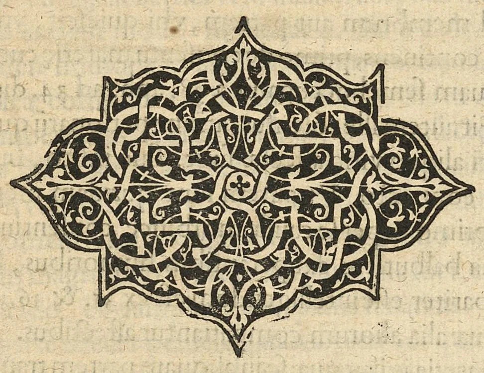 An illustration from Methodus in septem aphorismorum libros ab Hippocrate observata, omnibus tamen retro saeculis inaudita, jam primum mirabili schematon artificio demonstrata, a F. Fogerolaeo,..., 1612, leaf 163