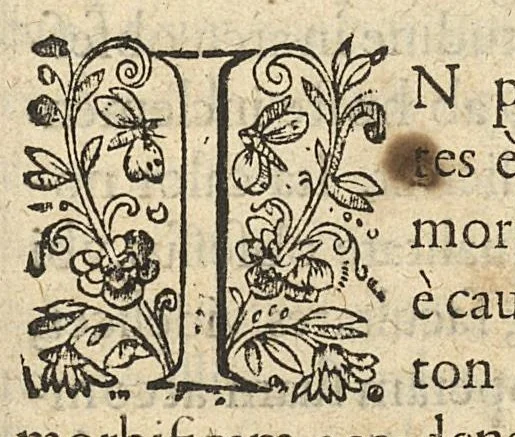 An illustration from Methodus in septem aphorismorum libros ab Hippocrate observata, omnibus tamen retro saeculis inaudita, jam primum mirabili schematon artificio demonstrata, a F. Fogerolaeo,..., 1612, leaf 174