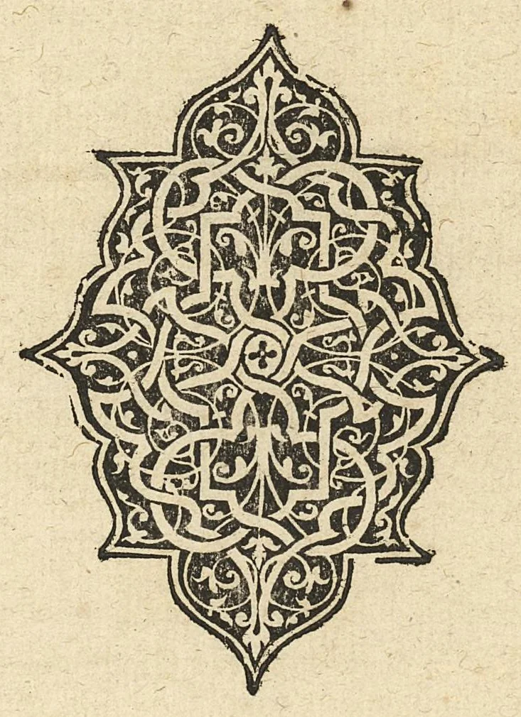 An illustration from Methodus in septem aphorismorum libros ab Hippocrate observata, omnibus tamen retro saeculis inaudita, jam primum mirabili schematon artificio demonstrata, a F. Fogerolaeo,..., 1612, leaf 178