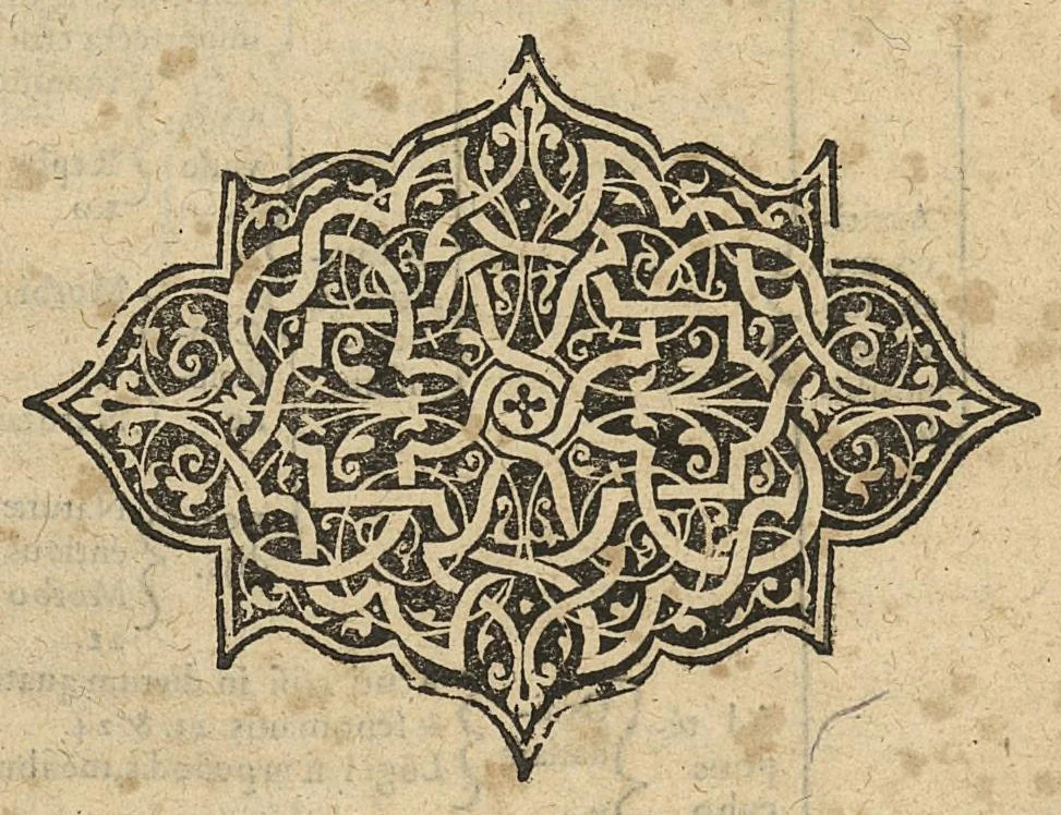 An illustration from Methodus in septem aphorismorum libros ab Hippocrate observata, omnibus tamen retro saeculis inaudita, jam primum mirabili schematon artificio demonstrata, a F. Fogerolaeo,..., 1612, leaf 84