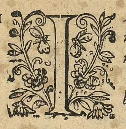 An illustration from Methodus in septem aphorismorum libros ab Hippocrate observata, omnibus tamen retro saeculis inaudita, jam primum mirabili schematon artificio demonstrata, a F. Fogerolaeo,..., 1612, leaf 87