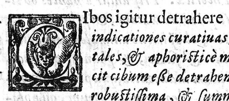 An illustration from De Cognitu difficilibus in praxi ex libello Hippocratis de insomniis, et ex libris Avenzoaris, per commentaria et sententias dilucidatas..., 1628, leaf 131