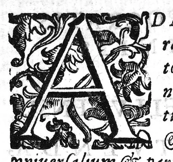 An illustration from De Cognitu difficilibus in praxi ex libello Hippocratis de insomniis, et ex libris Avenzoaris, per commentaria et sententias dilucidatas..., 1628, leaf 29