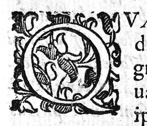 An illustration from De Cognitu difficilibus in praxi ex libello Hippocratis de insomniis, et ex libris Avenzoaris, per commentaria et sententias dilucidatas..., 1628, leaf 36