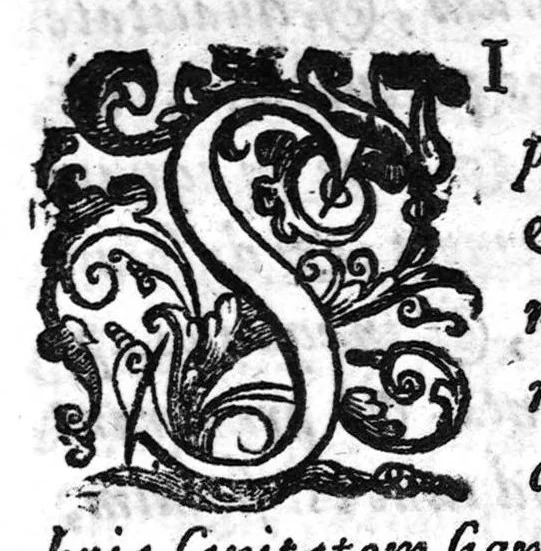 An illustration from De Cognitu difficilibus in praxi ex libello Hippocratis de insomniis, et ex libris Avenzoaris, per commentaria et sententias dilucidatas..., 1628, leaf 40