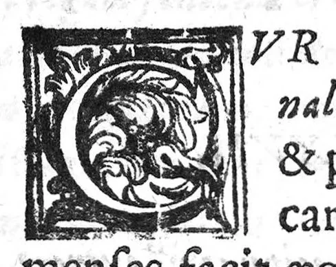An illustration from De Cognitu difficilibus In Praxi ex libris Avenzoaris per sententias dilucidatas, 1628, leaf 109