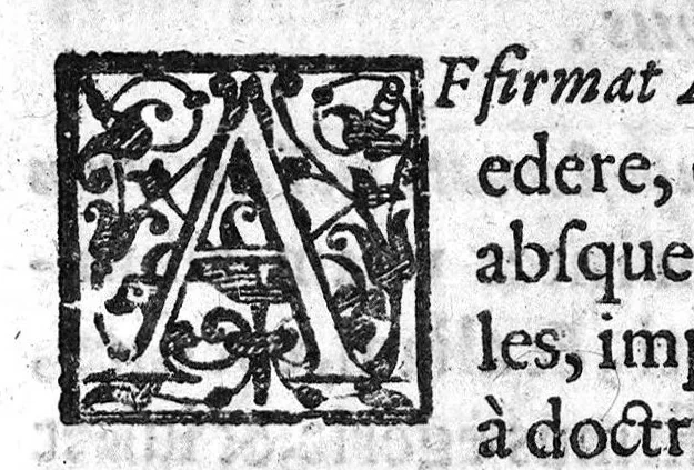 An illustration from De Cognitu difficilibus In Praxi ex libris Avenzoaris per sententias dilucidatas, 1628, leaf 116