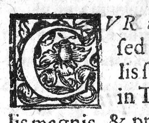 An illustration from De Cognitu difficilibus In Praxi ex libris Avenzoaris per sententias dilucidatas, 1628, leaf 123