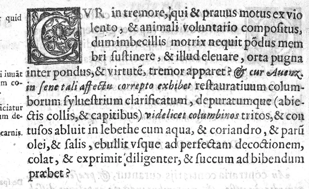 An illustration from De Cognitu difficilibus In Praxi ex libris Avenzoaris per sententias dilucidatas, 1628, leaf 125