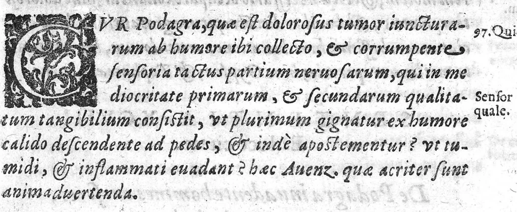 An illustration from De Cognitu difficilibus In Praxi ex libris Avenzoaris per sententias dilucidatas, 1628, leaf 128