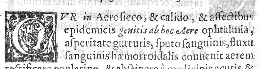 An illustration from De Cognitu difficilibus In Praxi ex libris Avenzoaris per sententias dilucidatas, 1628, leaf 145
