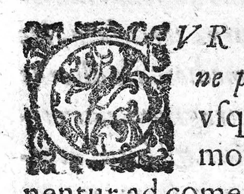 An illustration from De Cognitu difficilibus In Praxi ex libris Avenzoaris per sententias dilucidatas, 1628, leaf 156