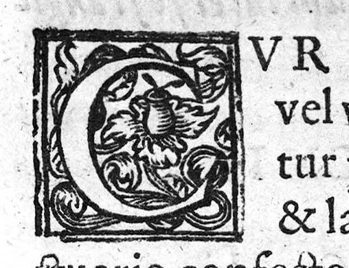 An illustration from De Cognitu difficilibus In Praxi ex libris Avenzoaris per sententias dilucidatas, 1628, leaf 158