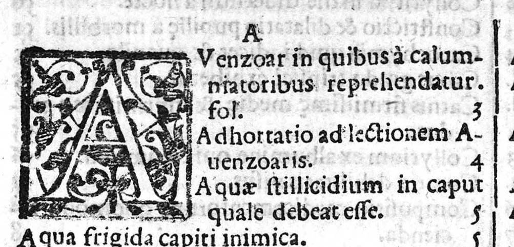 An illustration from De Cognitu difficilibus In Praxi ex libris Avenzoaris per sententias dilucidatas, 1628, leaf 176