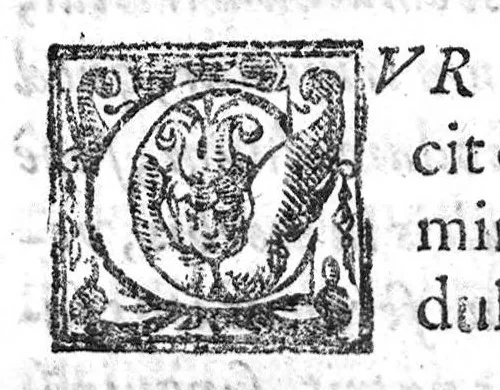An illustration from De Cognitu difficilibus In Praxi ex libris Avenzoaris per sententias dilucidatas, 1628, leaf 72
