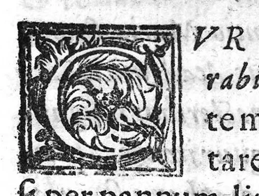 An illustration from De Cognitu difficilibus In Praxi ex libris Avenzoaris per sententias dilucidatas, 1628, leaf 76