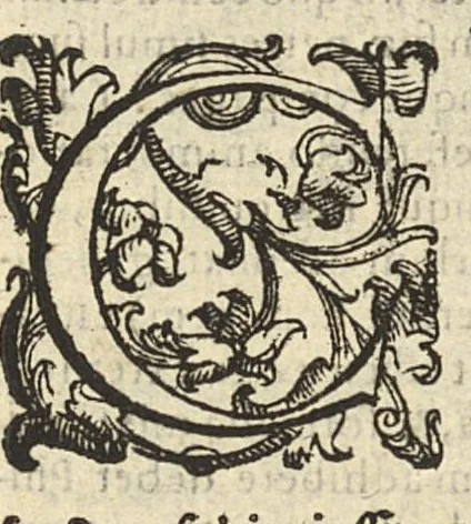 An illustration from In Hippocratis coi libellum de hominis structura commentarius in quo plurimae difficultates diluuntur, Joannis Stephani, 1633, leaf 10