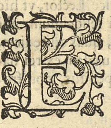 An illustration from In Hippocratis coi libellum de hominis structura commentarius in quo plurimae difficultates diluuntur, Joannis Stephani, 1633, leaf 70