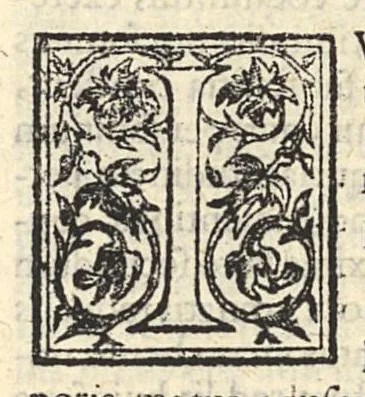 An illustration from Ad incolumitatem diu servandam diagoge authore Ioanne Stephano iatrophysico veneto et cenetae nobili cive ad excellentissimum senatorem Petrum Foscarenum, 1639, leaf 35