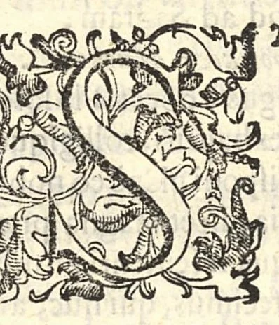 An illustration from Ad incolumitatem diu servandam diagoge authore Ioanne Stephano iatrophysico veneto et cenetae nobili cive ad excellentissimum senatorem Petrum Foscarenum, 1639, leaf 5