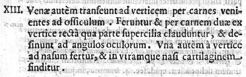 An illustration from Hippocratis Coi Medicorum principis Liber de Locis in Homine commentariis illustratus a Francisco Perla Calviensi, 1638, leaf 86