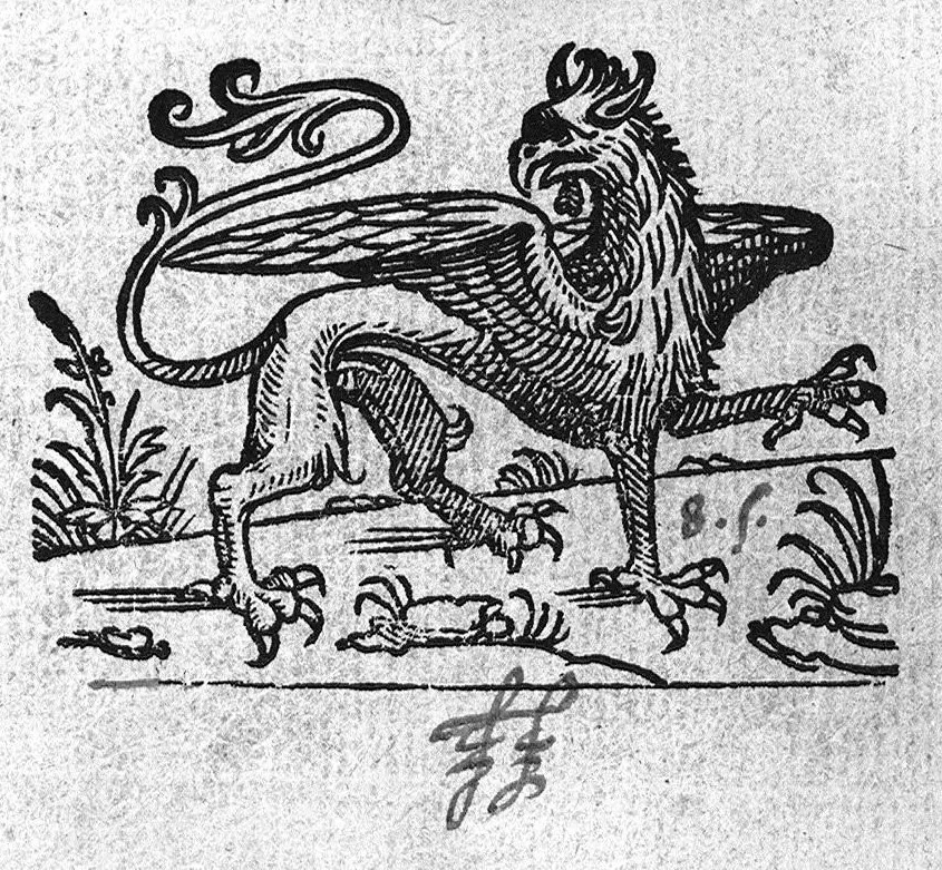 An illustration from Commentarii in sex Galeni libros de Morbis et Syptomatis, Francisco Valleriola Medico auctore, 1540, leaf 427