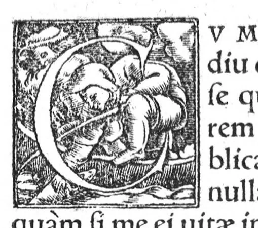 An illustration from Commentarii in sex Galeni libros de Morbis et Syptomatis, Francisco Valleriola Medico auctore, 1540, leaf 7