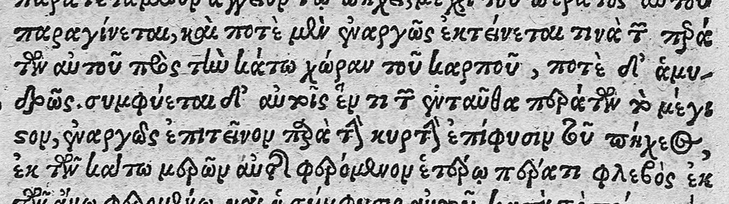 An illustration from Cl. Galeni Pergameni nobilissimi medici libri aliquot Græci partim hactenus non visi, partim a mendis ... repurgati et integritati sue restituti, annotationibusque illustrati per J. Caium, 1544, leaf 133