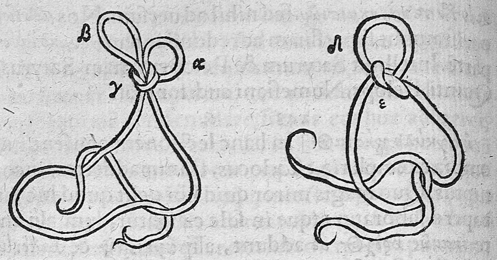 An illustration from Cl. Galeni Pergameni nobilissimi medici libri aliquot Græci partim hactenus non visi, partim a mendis ... repurgati et integritati sue restituti, annotationibusque illustrati per J. Caium, 1544, leaf 369