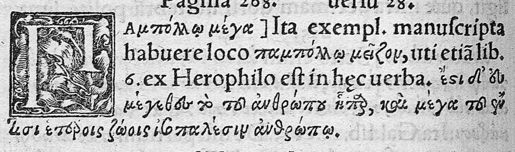 An illustration from Cl. Galeni Pergameni nobilissimi medici libri aliquot Græci partim hactenus non visi, partim a mendis ... repurgati et integritati sue restituti, annotationibusque illustrati per J. Caium, 1544, leaf 371